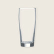 willi becher beer glass display blank